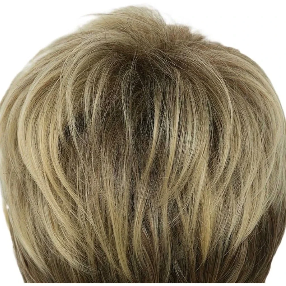 NWT Dai Cloud Men's Short Layered Blonde Highlighted Synthetic Costume Wig